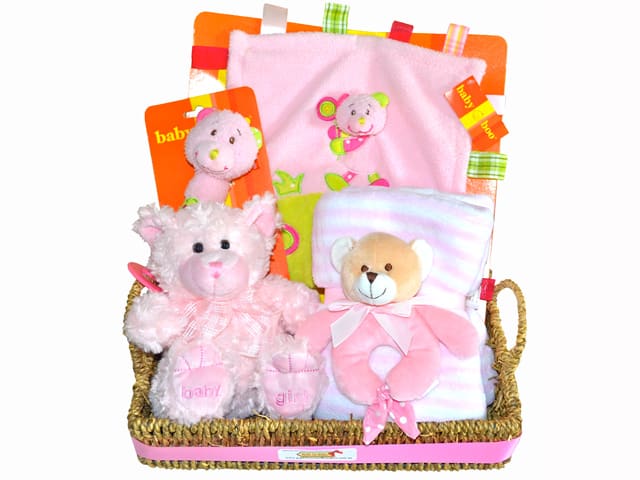 Perfectly Pink Baby Gift Basket