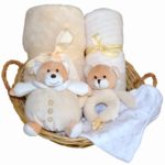 Snuggles Teddy Time Gift Basket 1